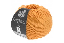 Cool Wool Big 994 perzik